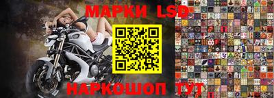 spice Кунгур